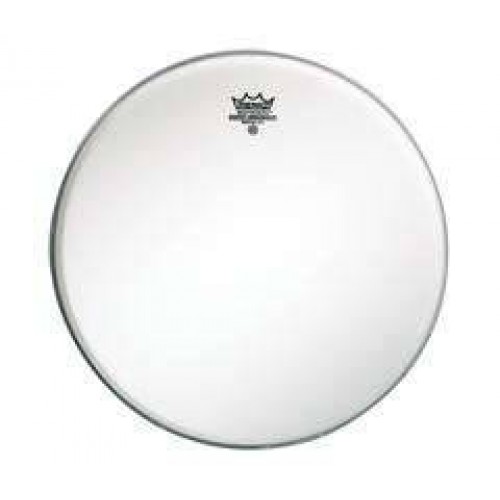 Remo Ambassador Coated 12" by Musical Instrument Shop Nottingham - Drum Heads, music equipment Nottingham.
